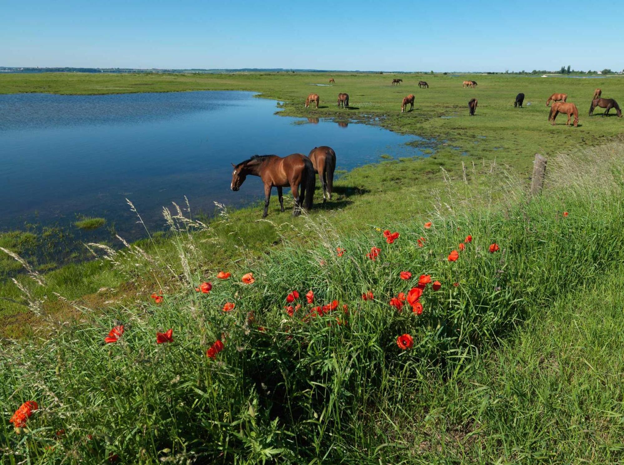 Ferienwohnung Gaude Tiet Poel Exterior foto