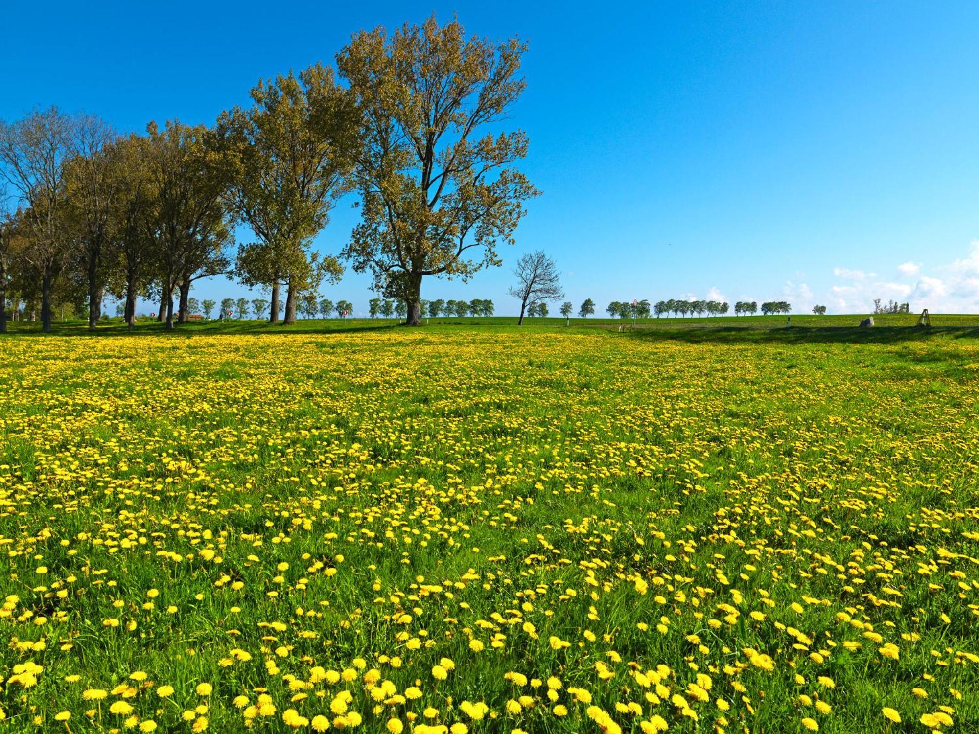 Ferienwohnung Gaude Tiet Poel Exterior foto